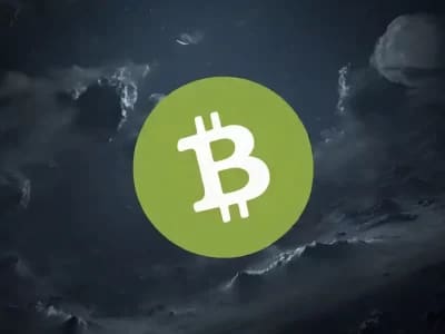 ارز دیجیتال بیت کوین کش