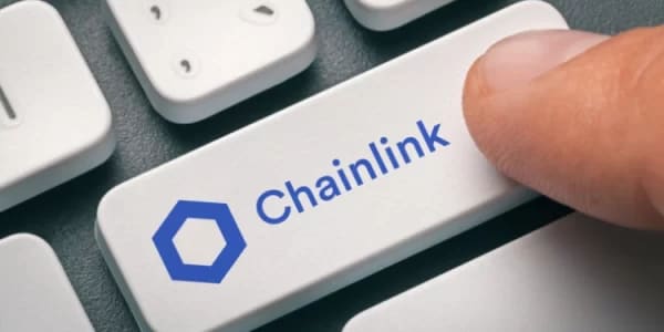 | اکسنوین