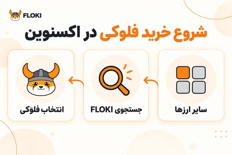 مراحل یافتن فلوکی در اکسنوین: سایر ارزها، جستجوی FLOKI و انتخاب فلوکی