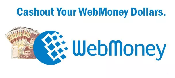 تاریخچه و کاربرد دلار وب مانی