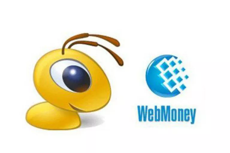 درباره الیاس پاسپورت وب مانی