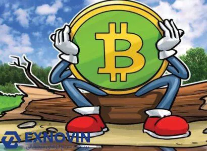 بیت کوین کش در 2020؛ افت نسبت قیمت به BTC و هاوینگ