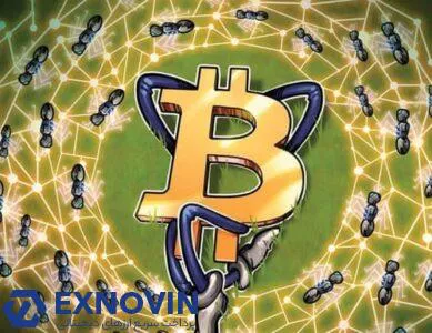 نابرابری ثروت را توزیع بیت کوین میتواند از بین ببرد؟ | اکسنوین