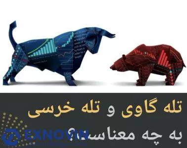 تله خرسی و تله گاوی چیست؟ 3 نکته درباره شکست کاذب