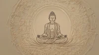 راهنمای ایردراپ زن کوین Zen Coin؛رقیب همسترکامبت