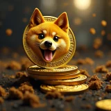 سود دوبرابر استخراج دوج کوین: آیا DOGE جایگزین بیت کوین می شود؟